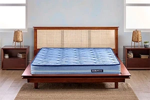 Duroflex Back Magic Orthopedic Coir Mattress 78 X 60