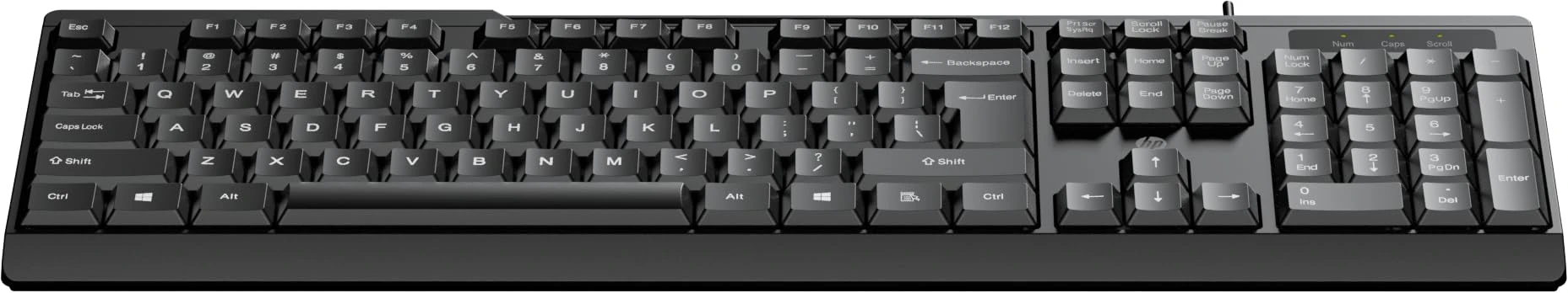 HP K120 Wired Keyboard/3 Years RTB Warranty