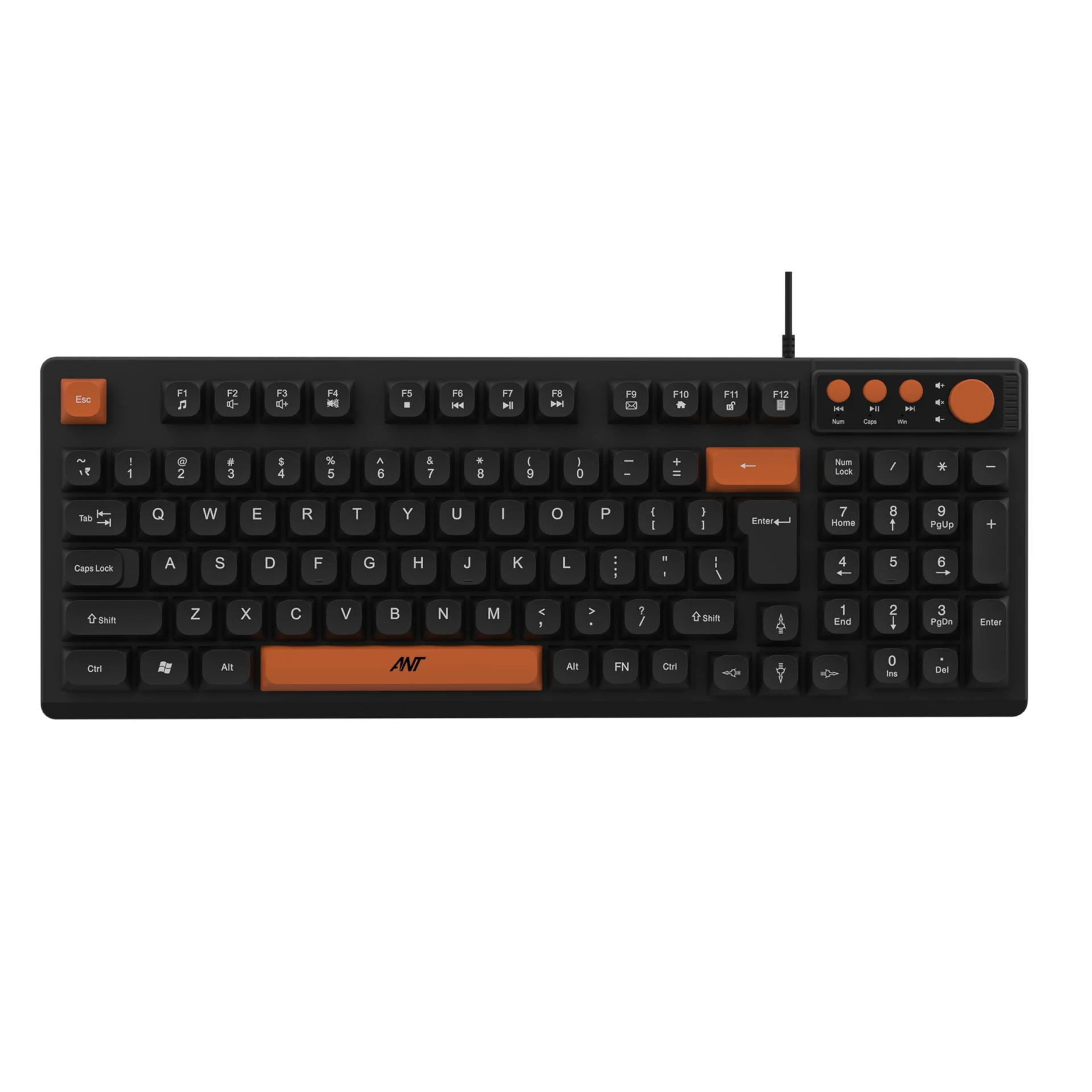 Ant Master 01 New Gen Full Size Wired Office Keyboard | 98 Keys Compact Layout with 4 Multimedia Keys | Membrane Switches...
