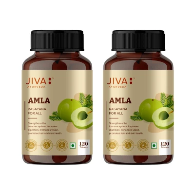 Jiva Amla Tablets 500mg 240 Tablets | 100% Herbs Used, Rich In Vitamin C | Rich In Antioxidants | Improves ...