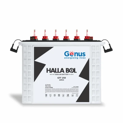Genus Hallabol GTT250 Tall Tubular 220 AH Inverter Battery for Home, Office or Solar Use, 48 Months Warranty, Black & White