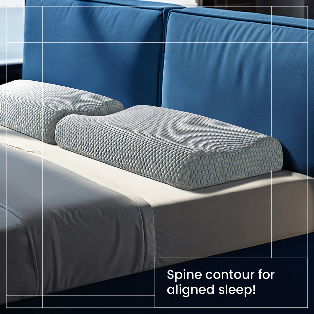 Spine Contour Pillow — VK Furniture & Electronics | VK Furniture Mangalore