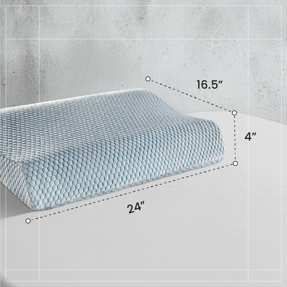 Spine Contour Pillow