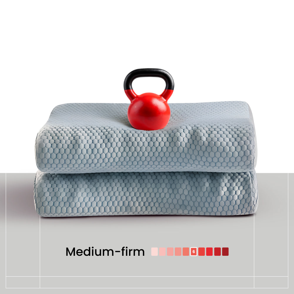 Dual Support Pillow