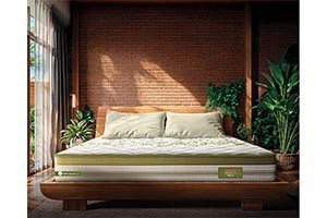 Duroflex Reva Mattress 72 X 36