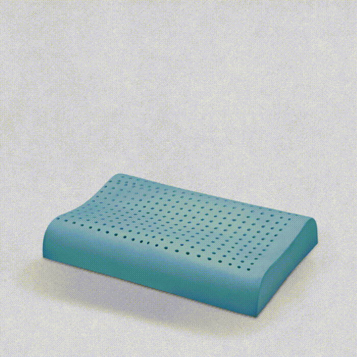 Spine Contour Pillow
